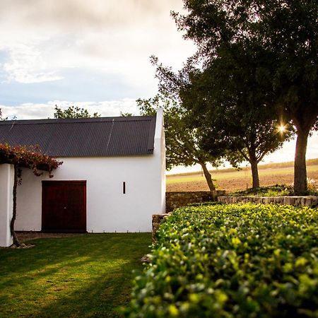 Vineyard Cottage At Bosman Wines Wellington Eksteriør bilde
