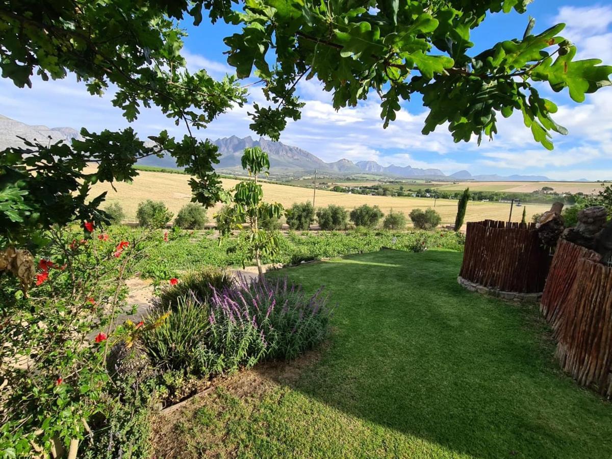 Vineyard Cottage At Bosman Wines Wellington Eksteriør bilde