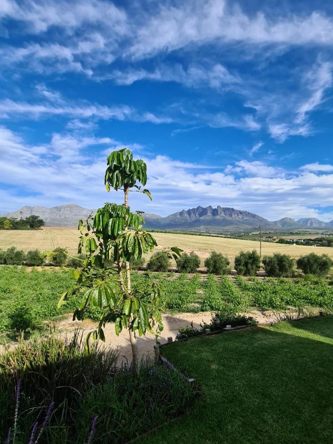 Vineyard Cottage At Bosman Wines Wellington Eksteriør bilde