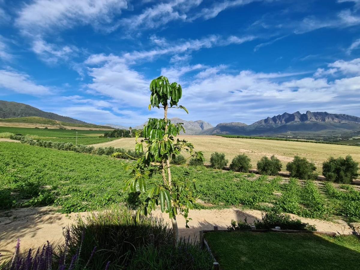 Vineyard Cottage At Bosman Wines Wellington Eksteriør bilde