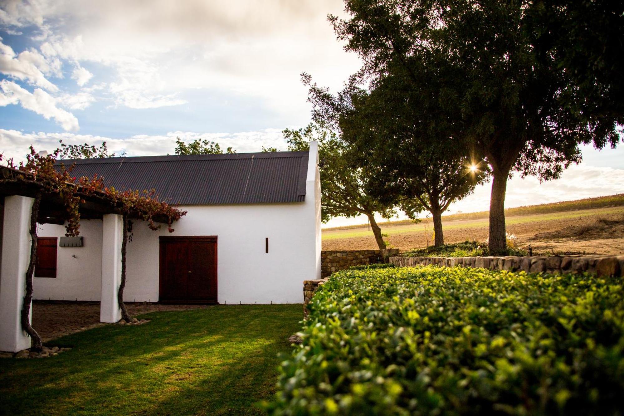 Vineyard Cottage At Bosman Wines Wellington Eksteriør bilde